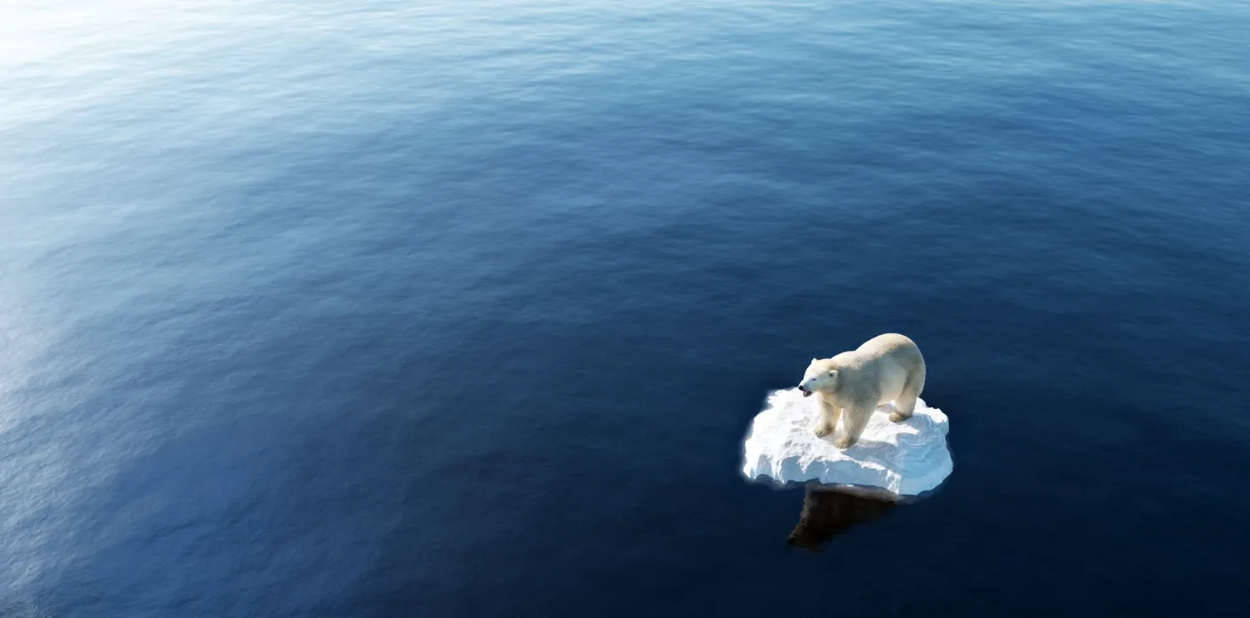 Konferencja klimatyczna w Dubaju może zapewnić pieniądze na ochronę klimatu