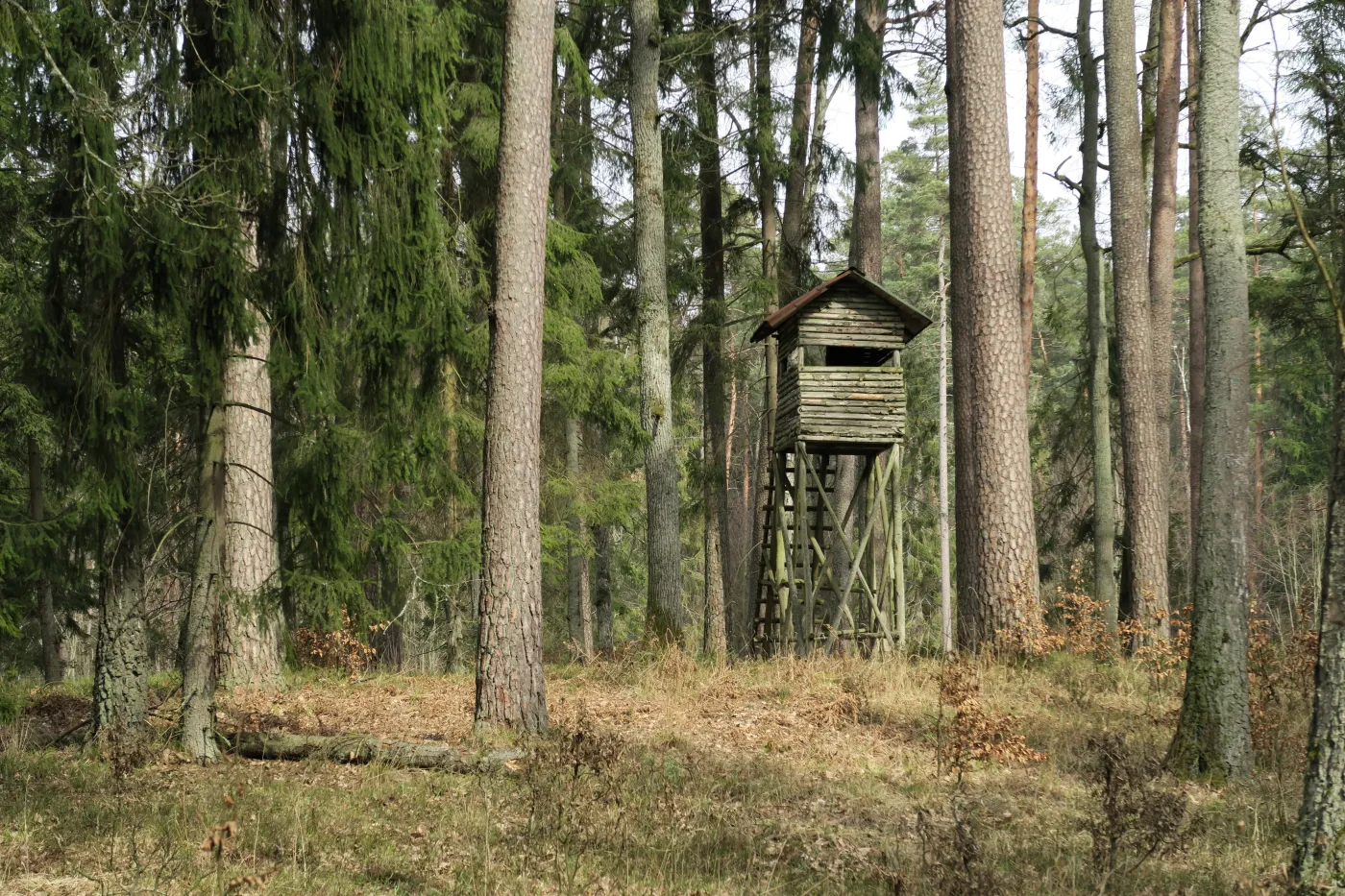 Rządzący biorą się za myśliwych. Niedługo mogą już tak łatwo nie postrzelać