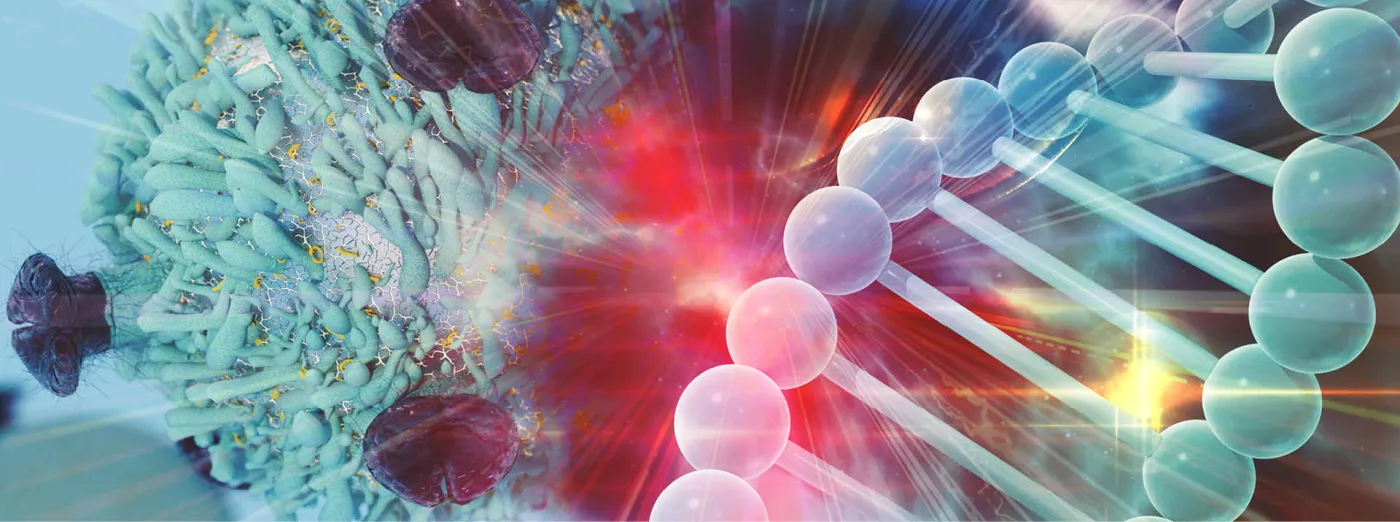 INNOWACYJNA POLSKA TERAPIA NA RAKA JAJNIKA POLEPI WCHODZI W FAZĘ PRODUKCJI