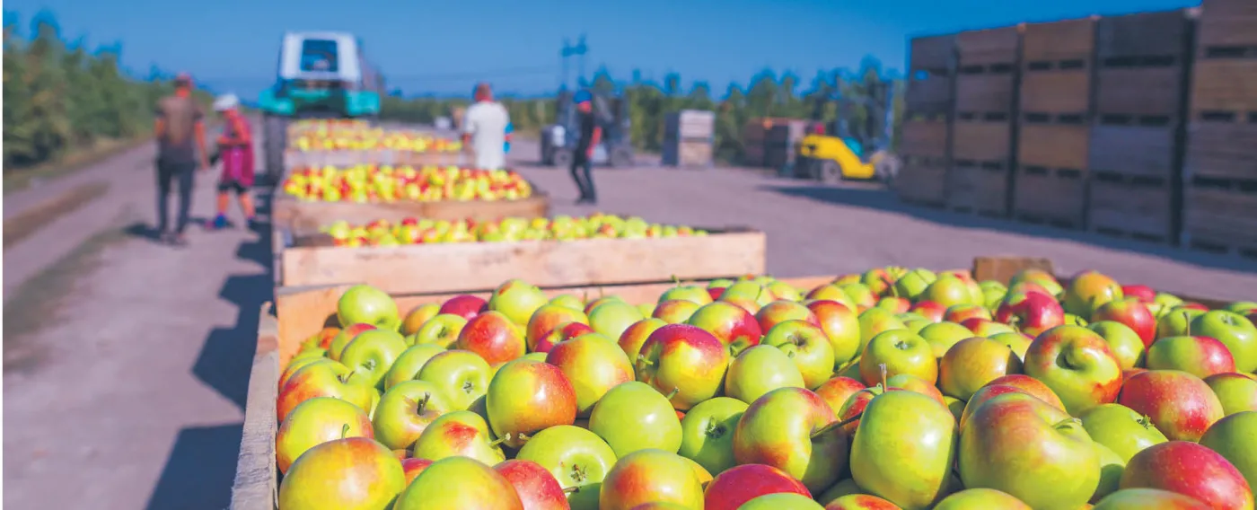 Producenci żywności na plusie, ale z problemami