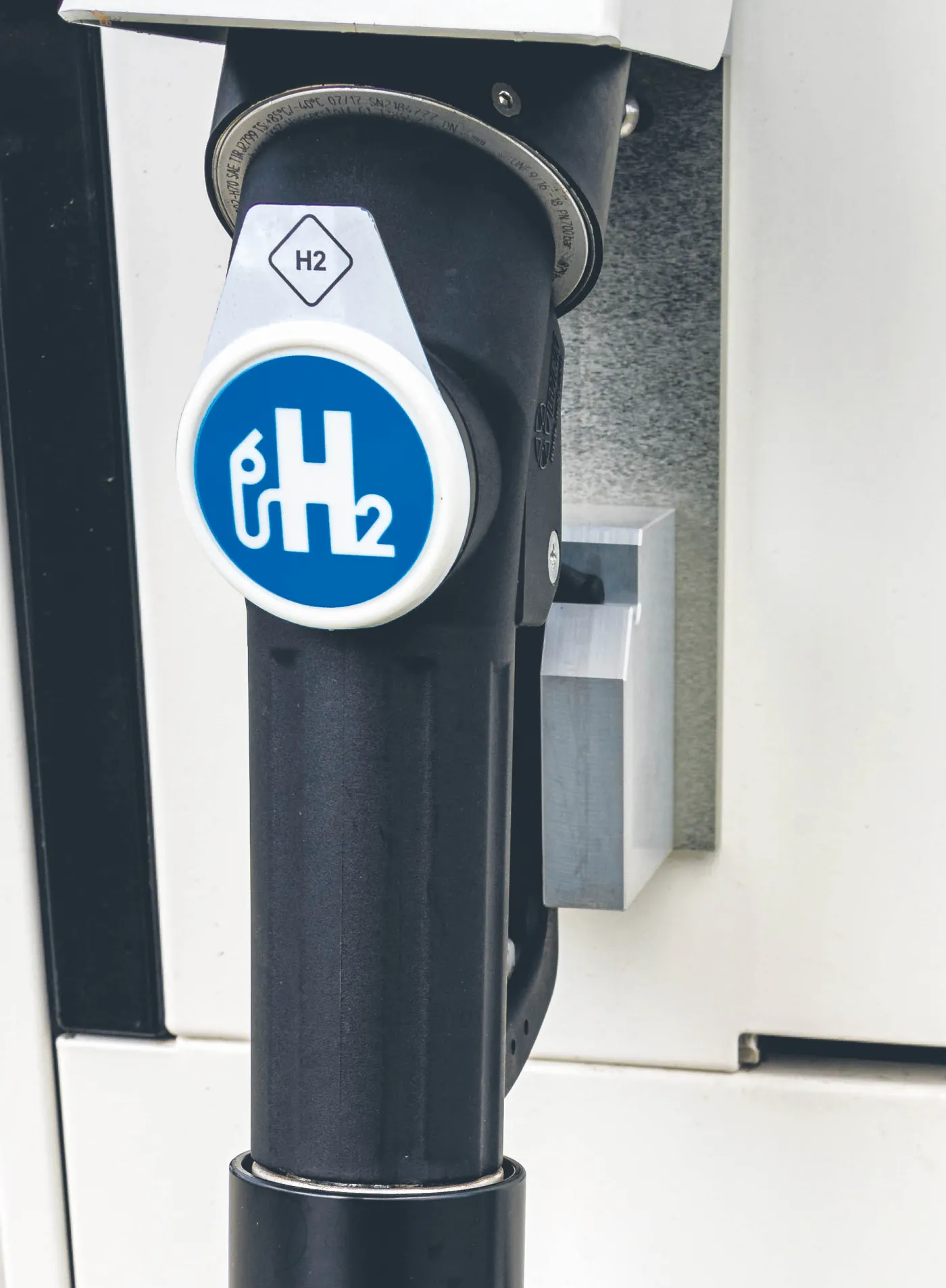 Wielkie koncerny wyznaczają kierunek