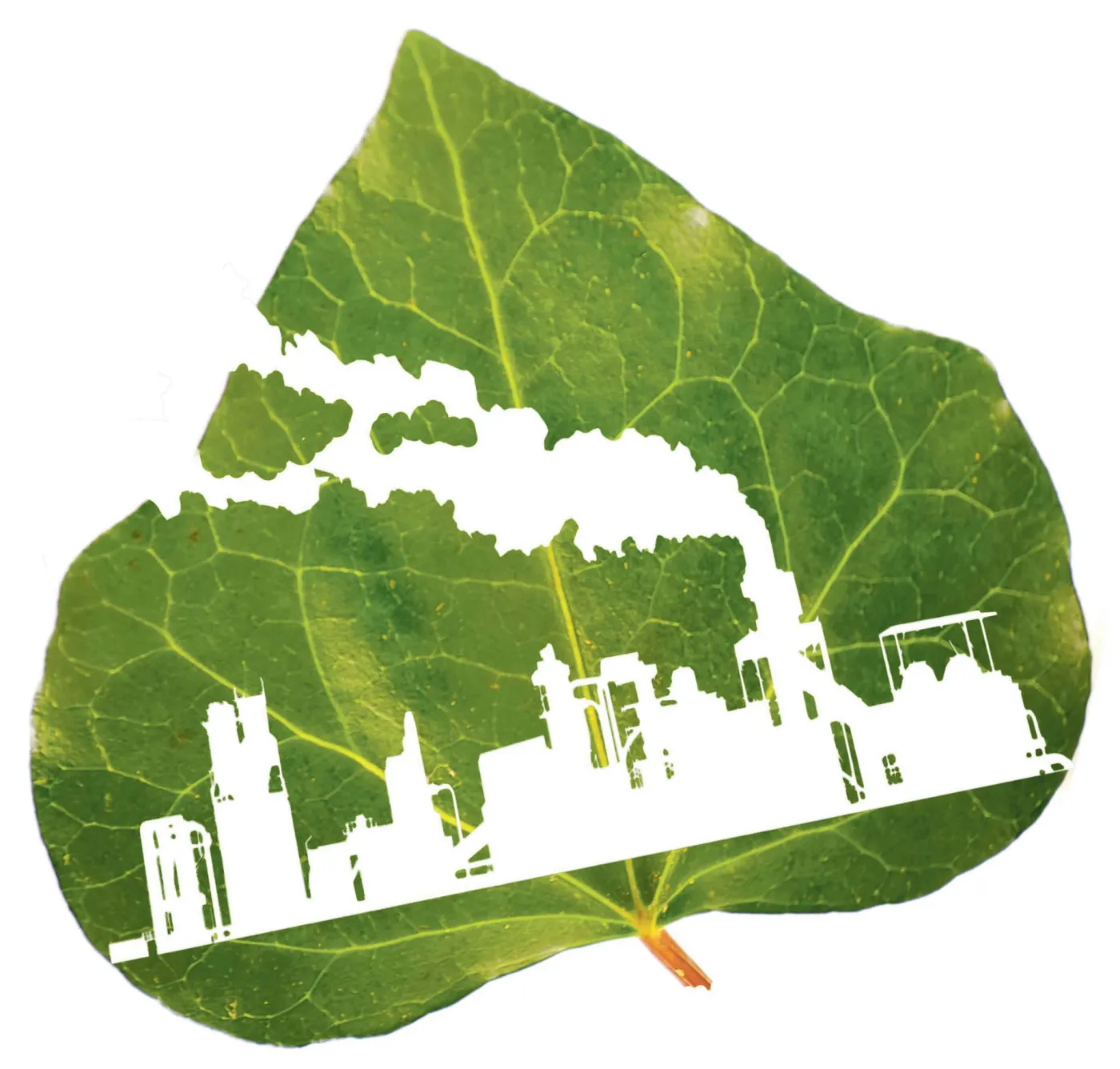 Smart city ma zielone serce