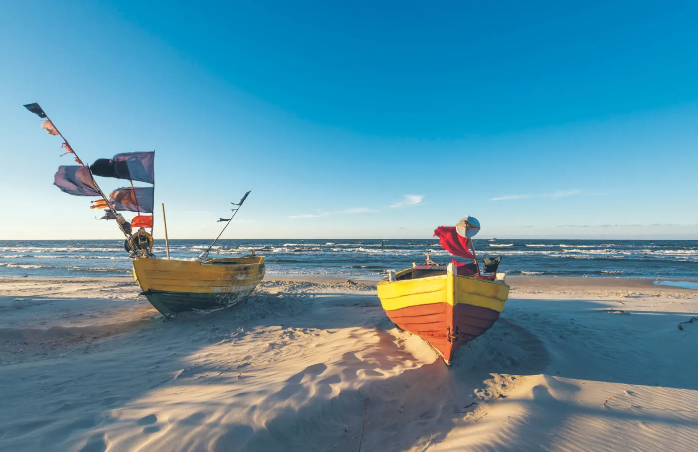 Polskie ryby mają głos
