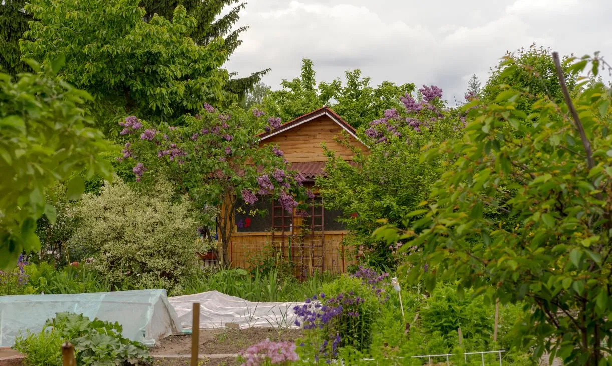 Nawet 50 tys. zł dla działkowców. Ruszył nabór – liczy się czas i dobrze przygotowany wniosek