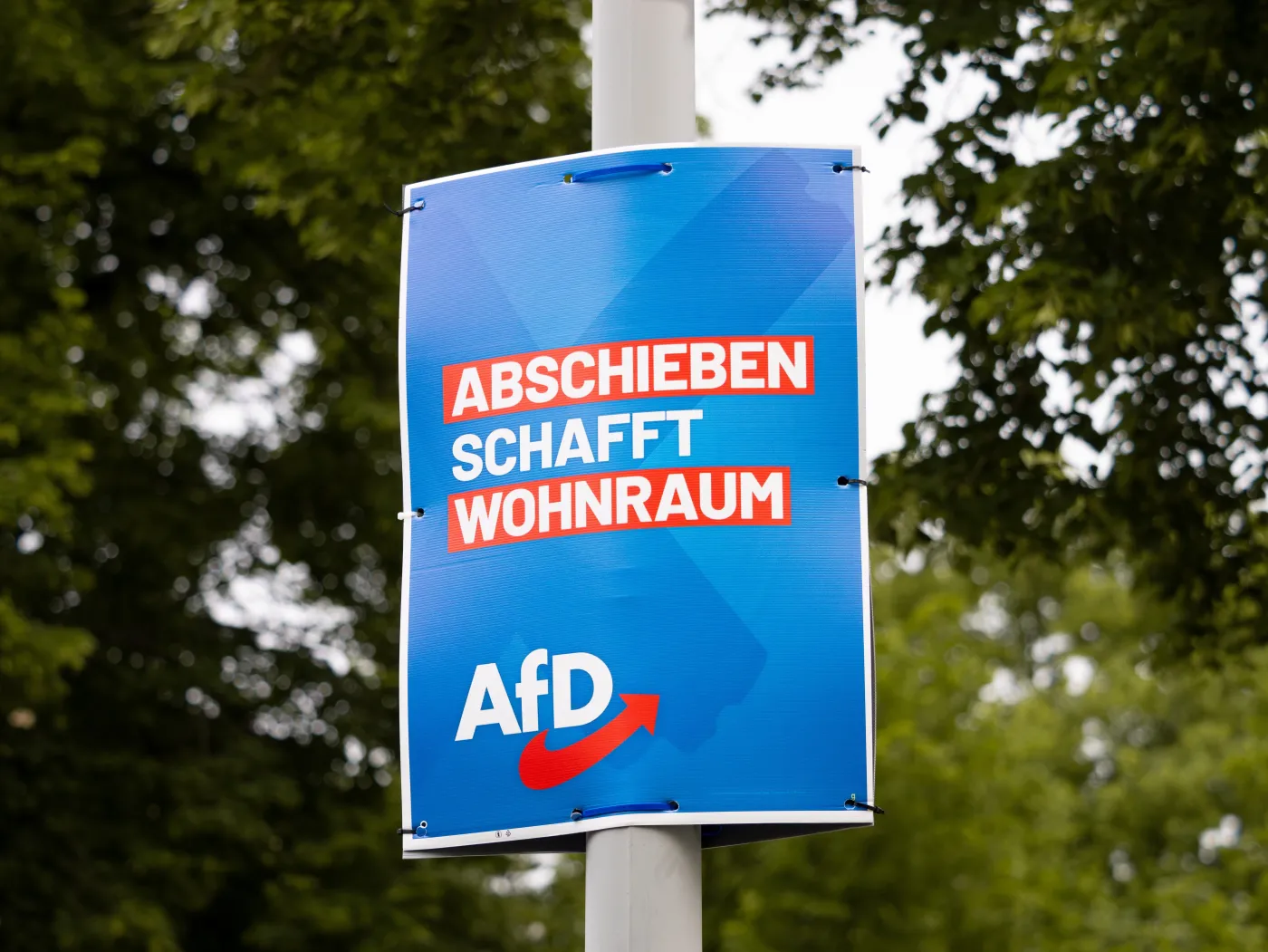 Plakat promujący AfD