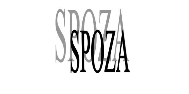 Rynek pracy z ludzką twarzą. Stowarzyszenie SPOZA - pozarządowa agencja zatrudnienia