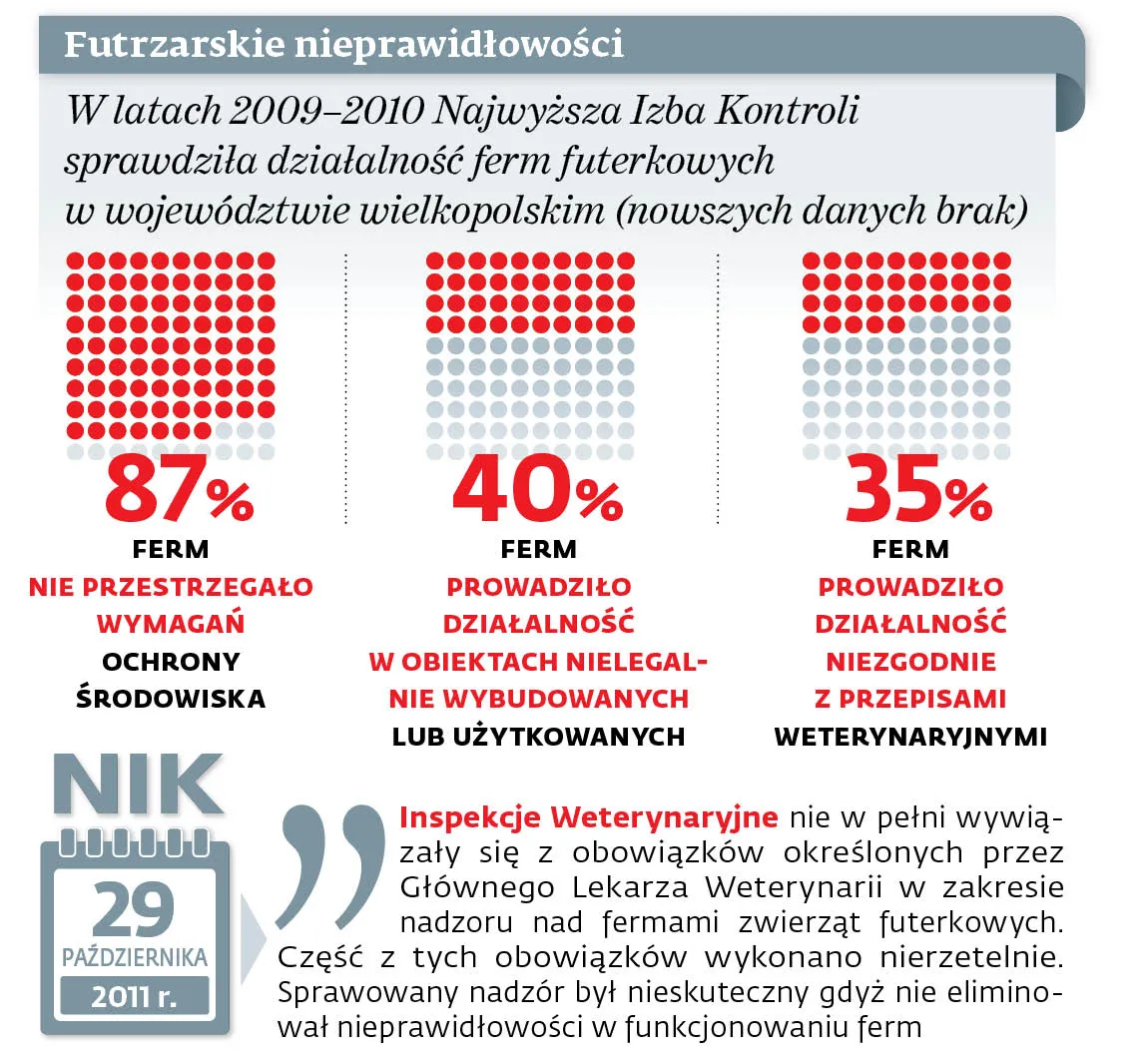 Futrzarskie nieprawidłowości
