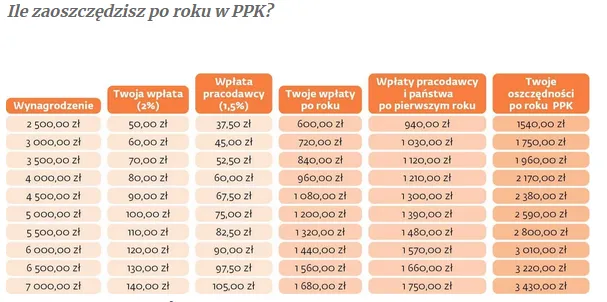Ile zaoszczędzisz po roku w PPK?
