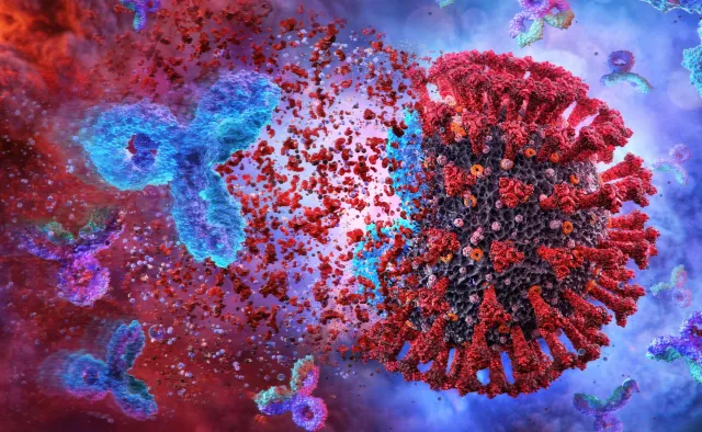 Kiedy wirusy najsilniej zakażają? Naukowcy to sprawdzili