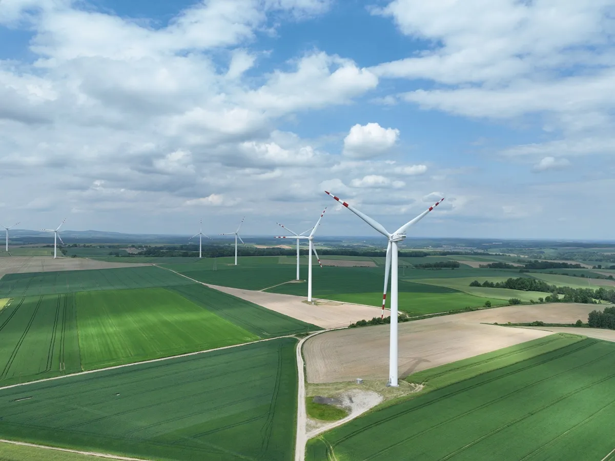 Tauron z rekordowym wynikiem za 2025 r., zarząd rekomenduje dywidendę