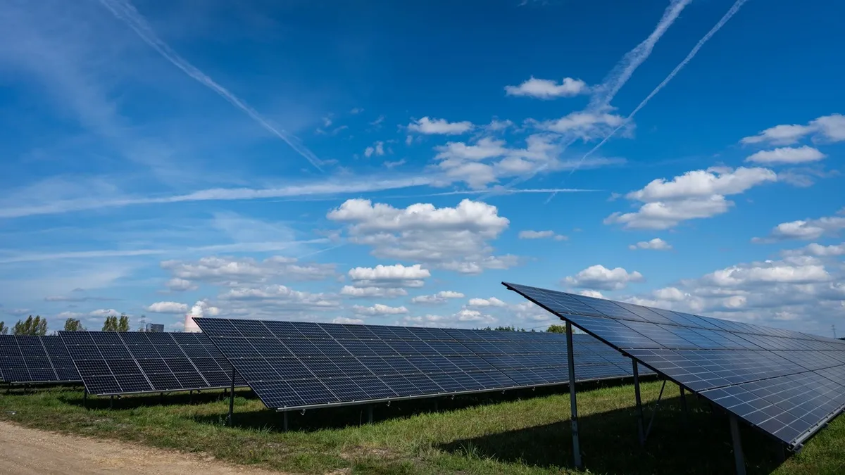 Tauron z rekordowym wynikiem za 2025 r., zarząd rekomenduje dywidendę