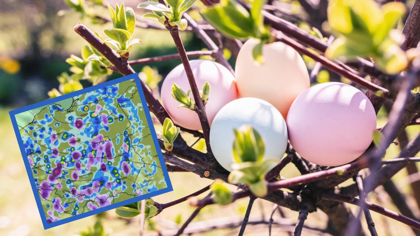 Wielkanoc 2026 w domowych budżetach. 37,4 proc. wyda więcej niż rok temu