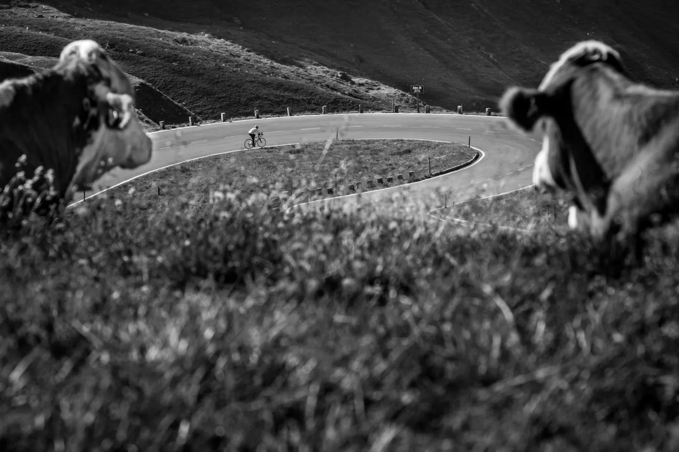 Fotoreportaż - I miejsce w kategorii SPORT