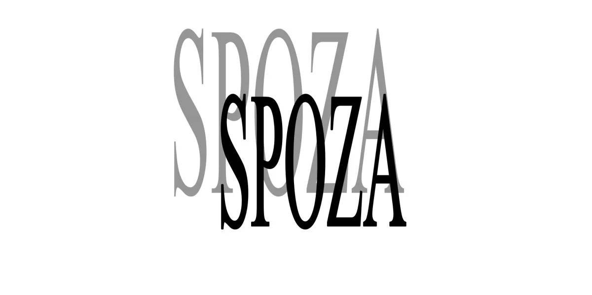 Stowarzyszenie SPOZA - pozarządowa agencja zatrudnienia