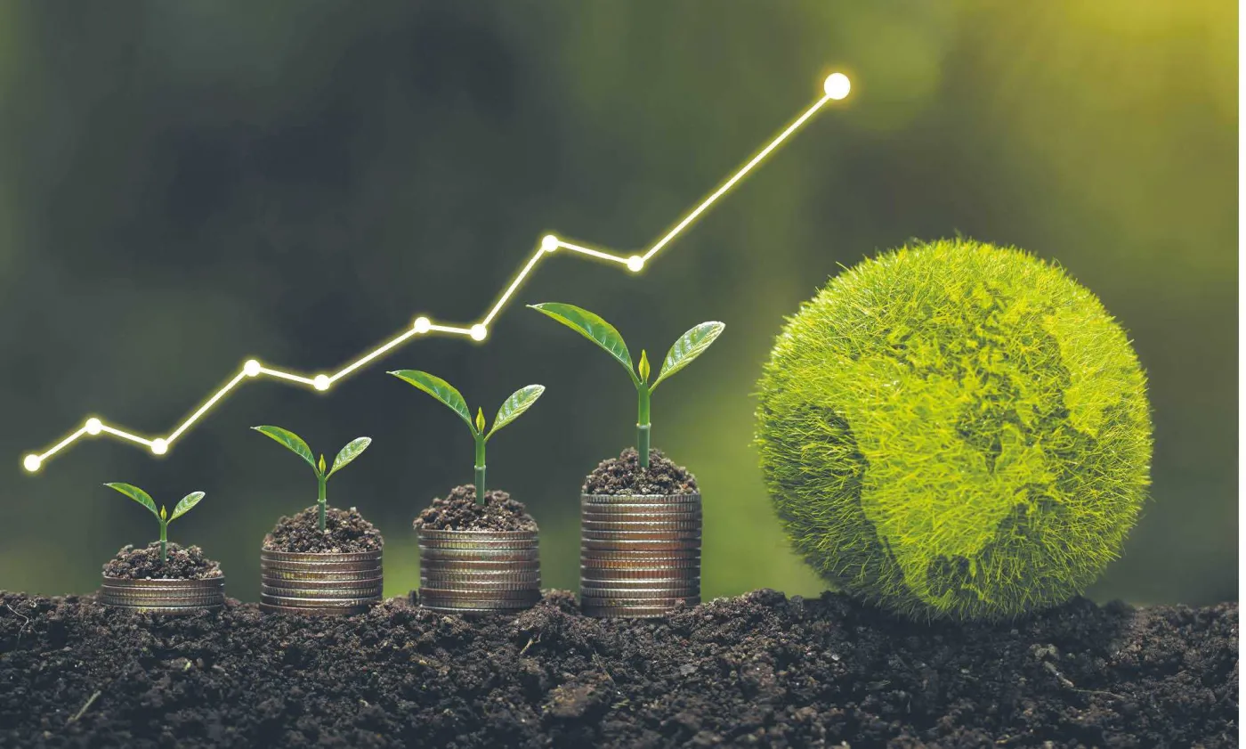 Bycie dobrym i zielonym nie zawsze kosztuje mniej