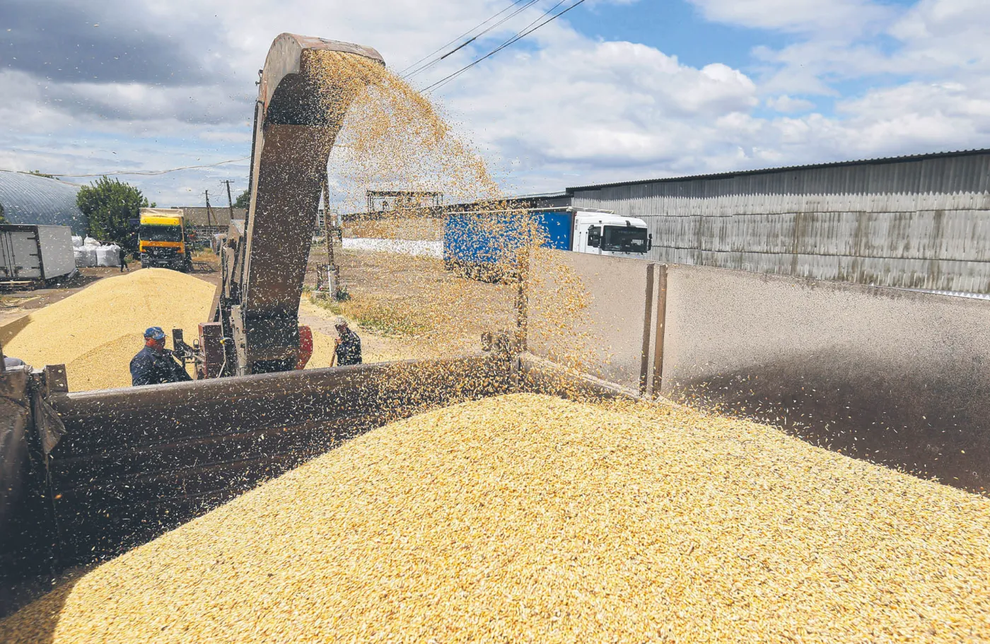 Wojna zbożowa również na froncie polskim