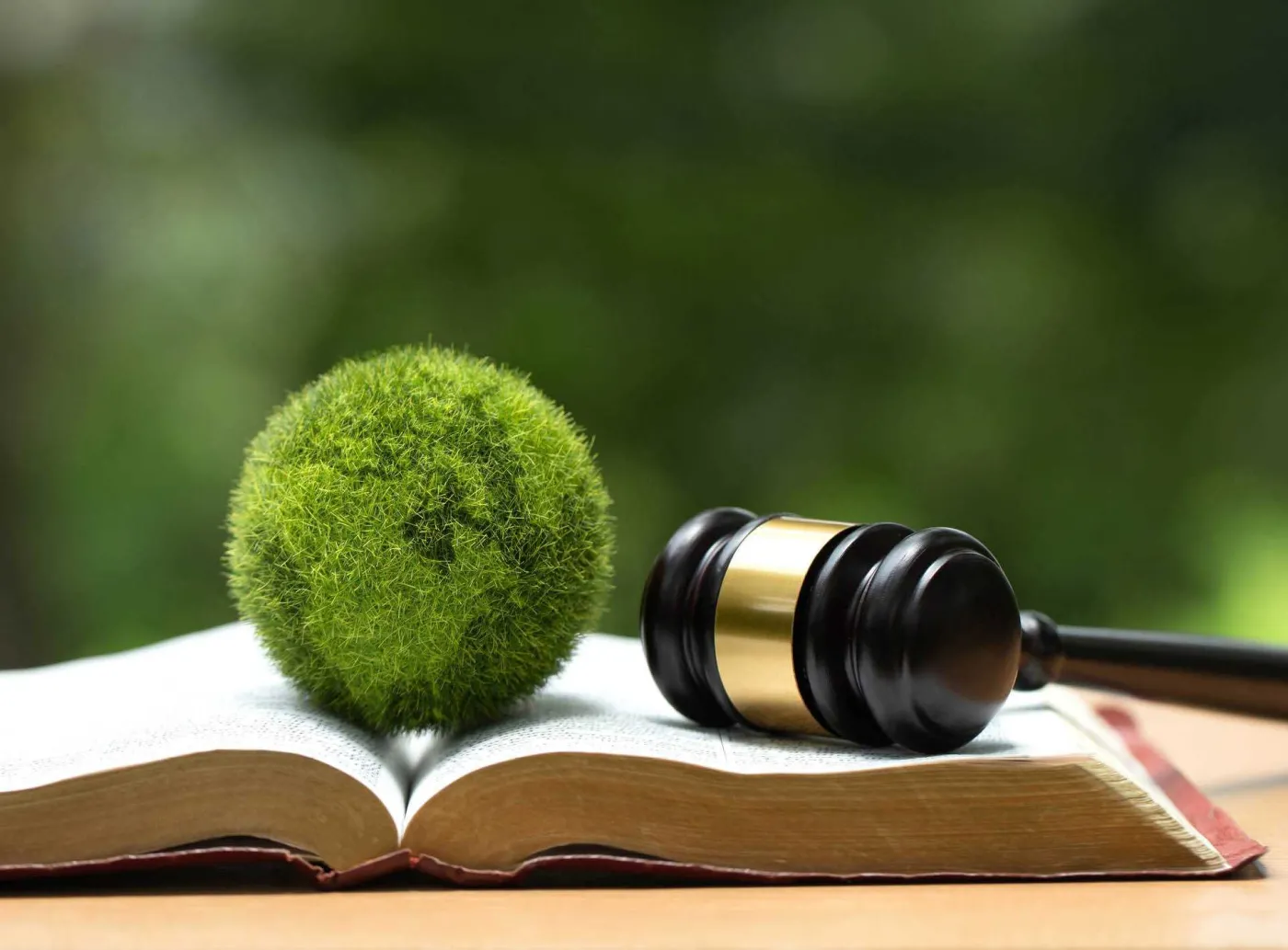 Nagrody za programy współdziałania