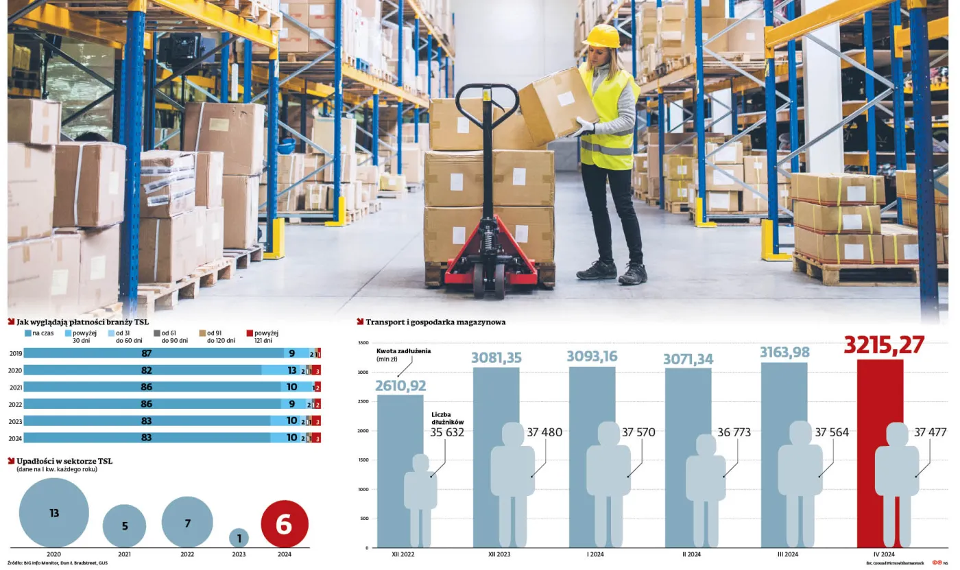Jak wyglądają płatności branży TSL