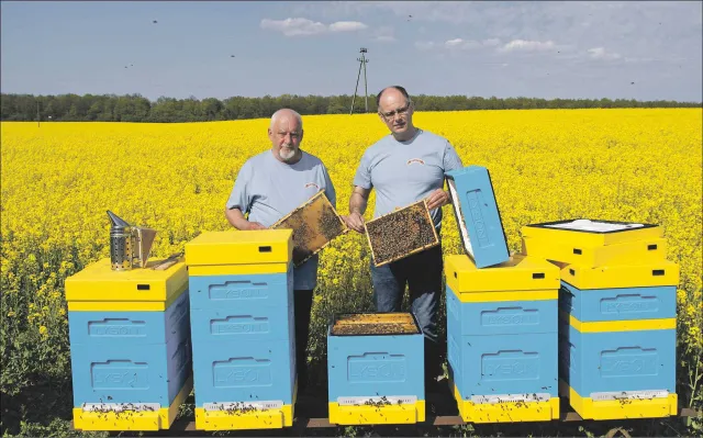 Polska jest idealna do pozyskiwania zdrowego miodu