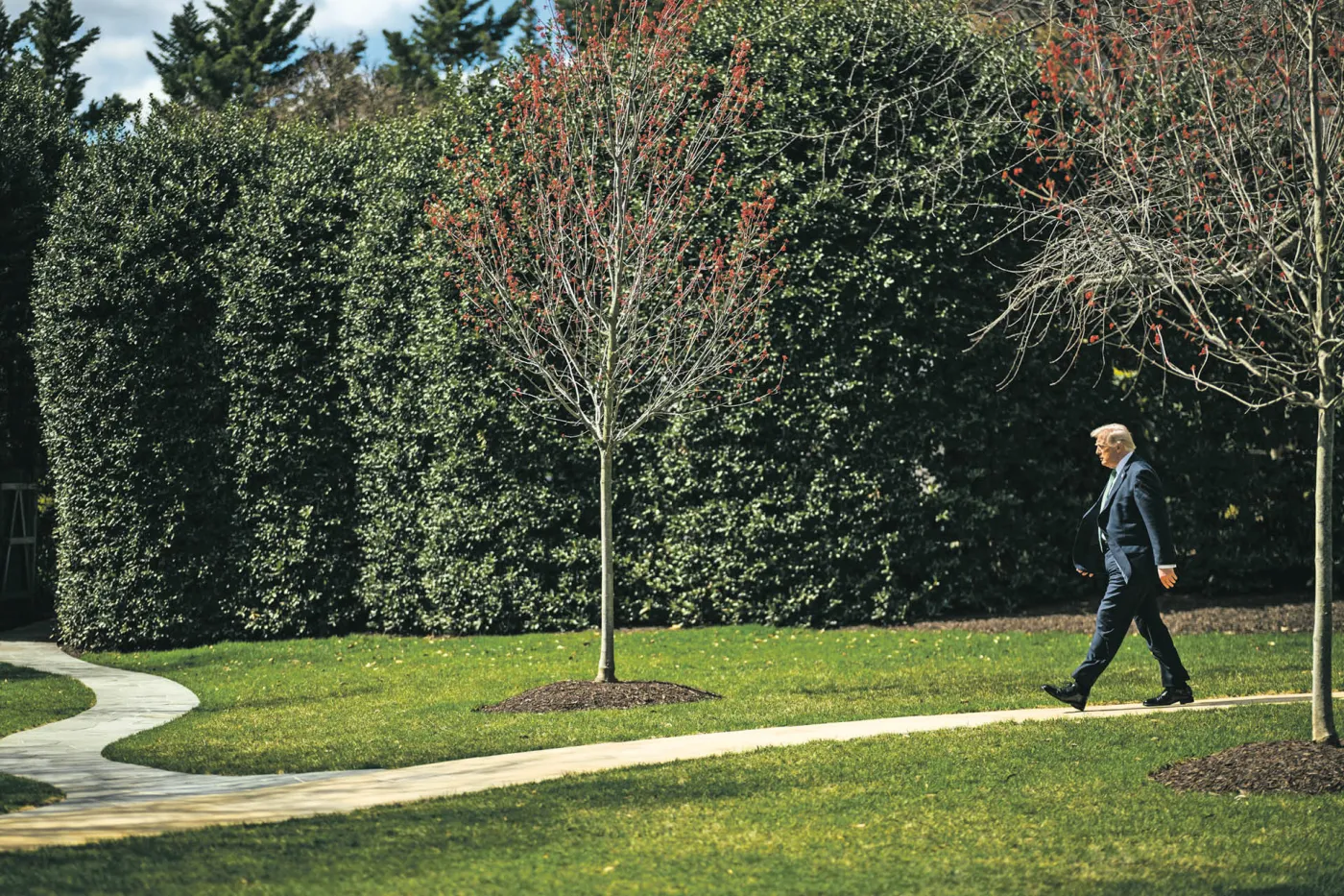 Donald Trump, prezydent USA