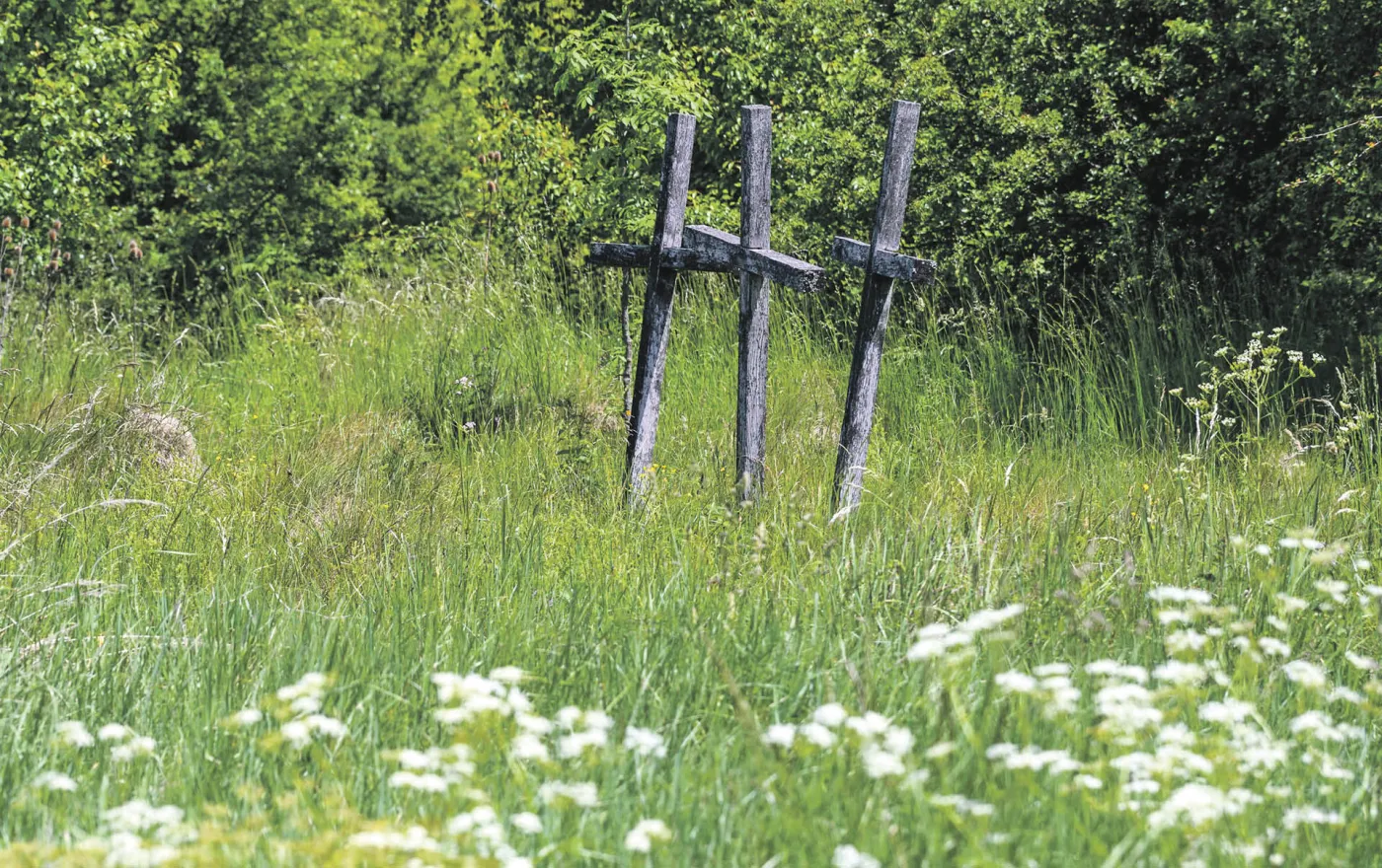 Huta Pieniacka, Ukraina.
