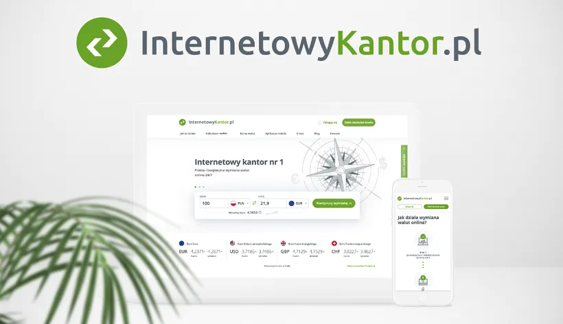 Błyskawiczna wymiana waluty – zrób to on-line