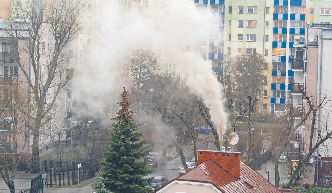 Czasem cynizm, czasem głupota