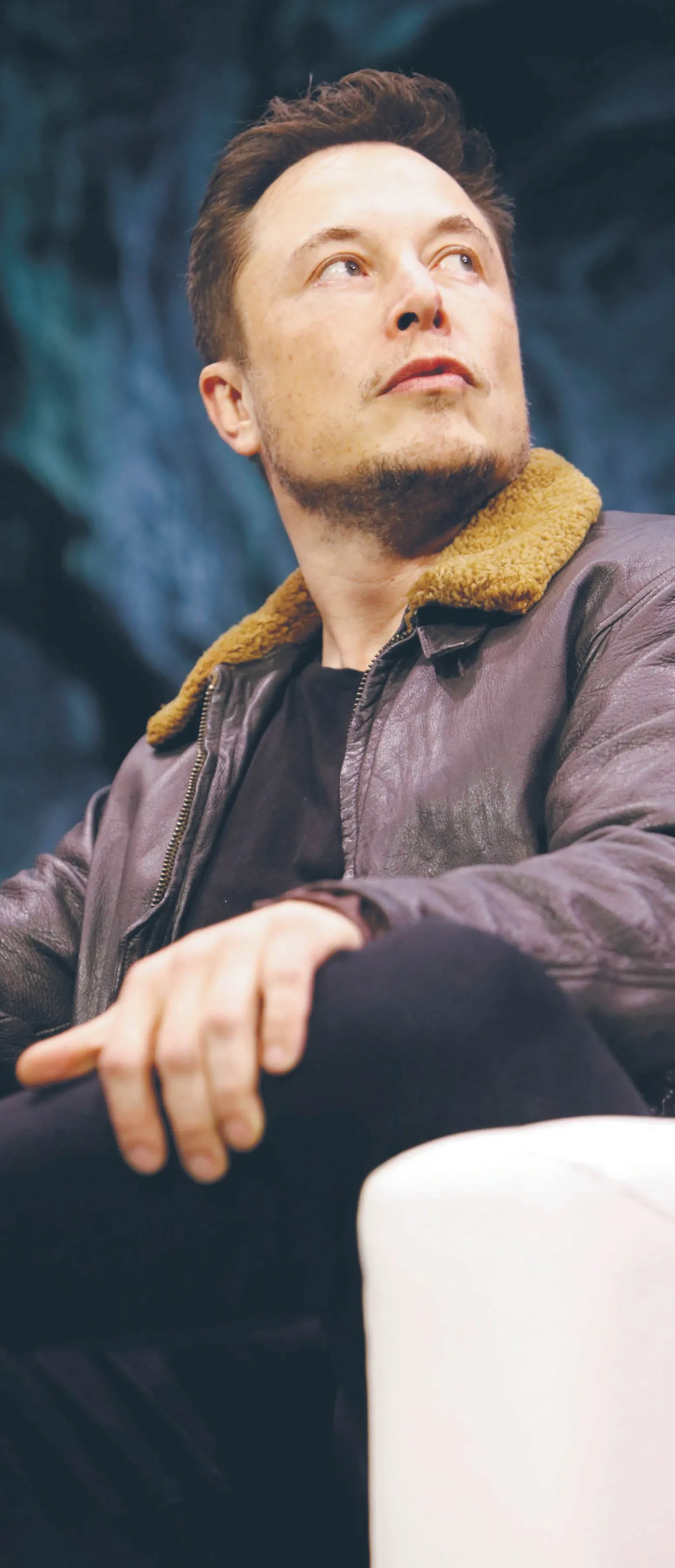 Za dużo ćwierka? Zamknąć ptaszka