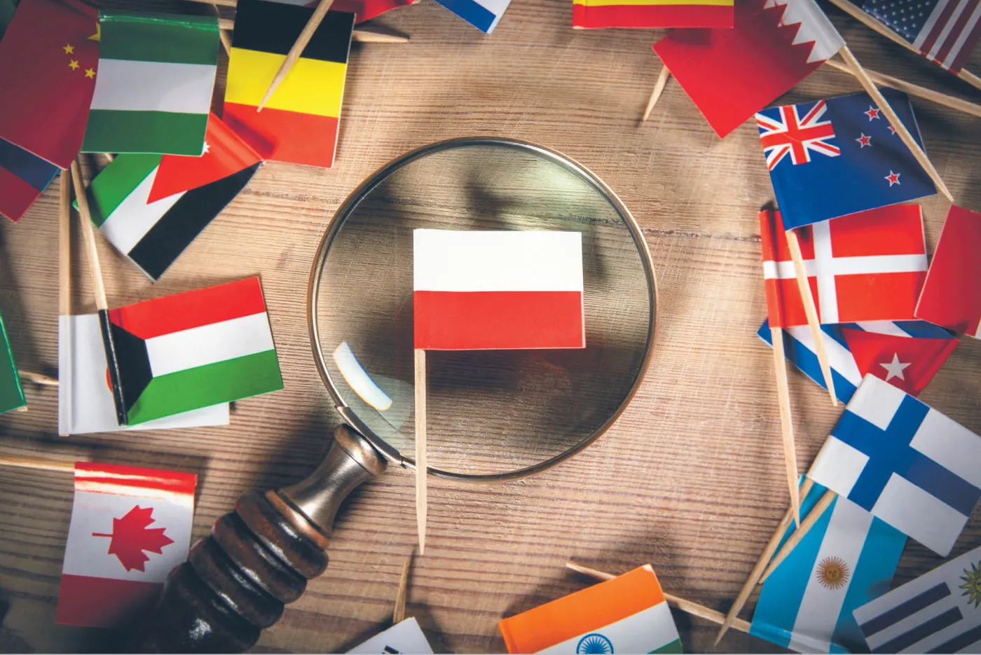 Nie ma mocnych na polski eksport