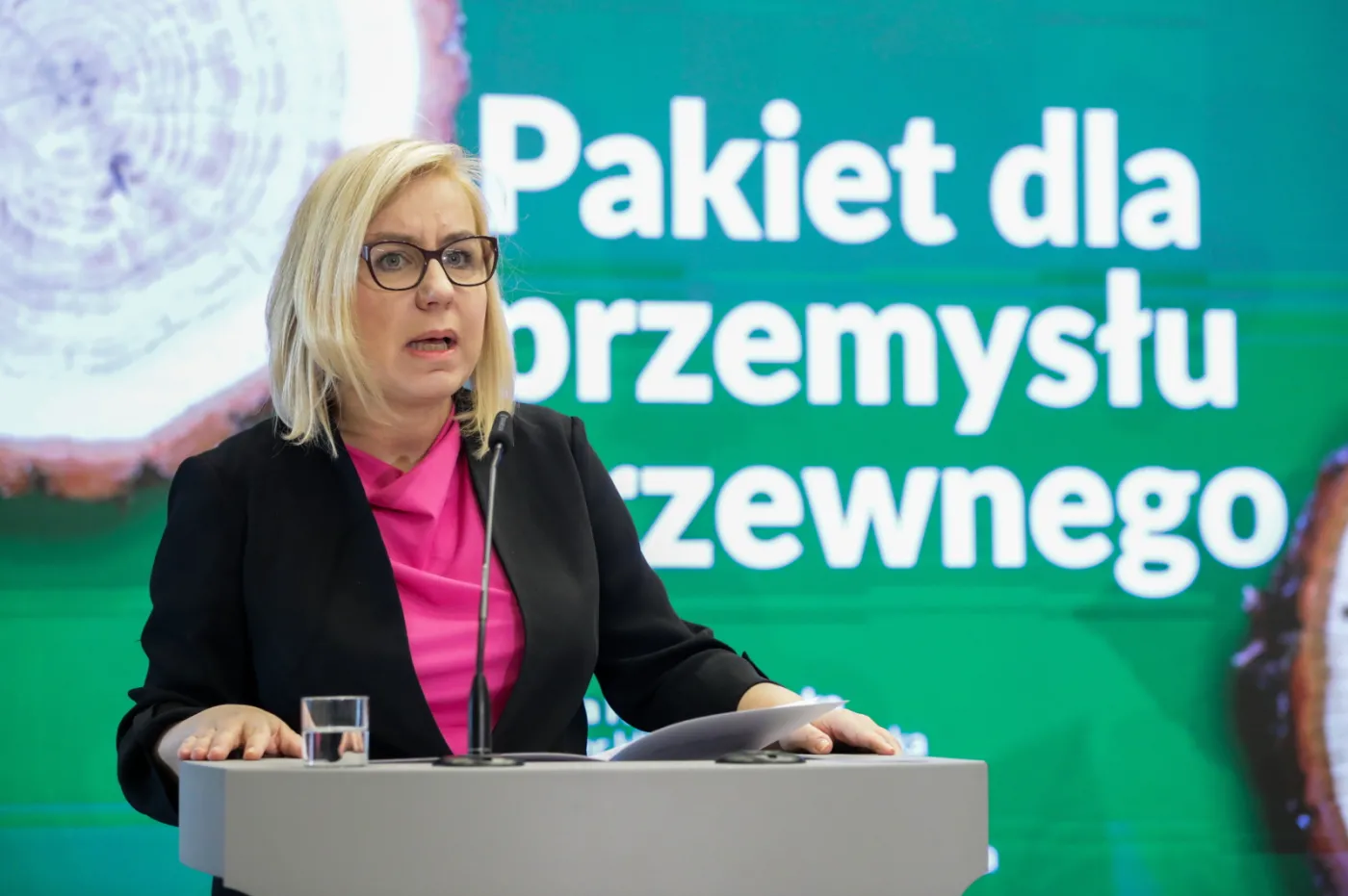 Branża drzewna w tarapatach. Resort klimatu proponuje rozwiązania