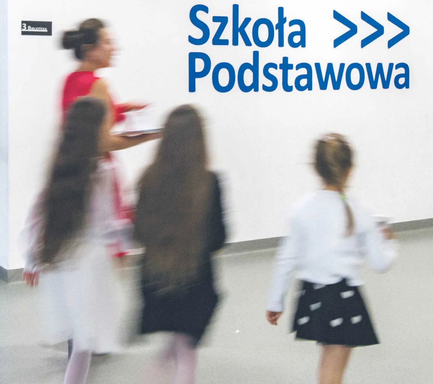 Standaryzacja będzie. Niejasności już są