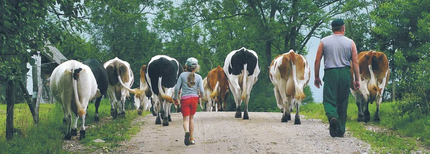 Na wsi politykę ciągnie ekonomia