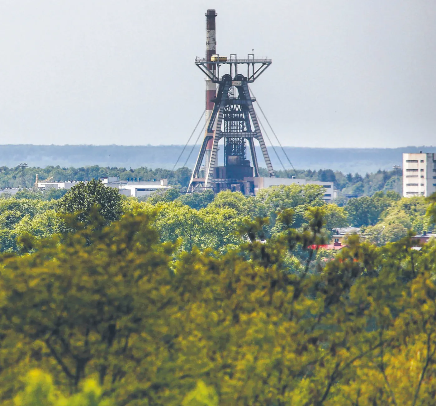 Świat zielenieje, Polska nadal za węglem