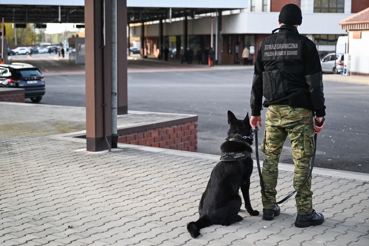 Zatrudnił do pracy Ukrainki. Teraz będzie płacił grzywnę 8 tys. zł