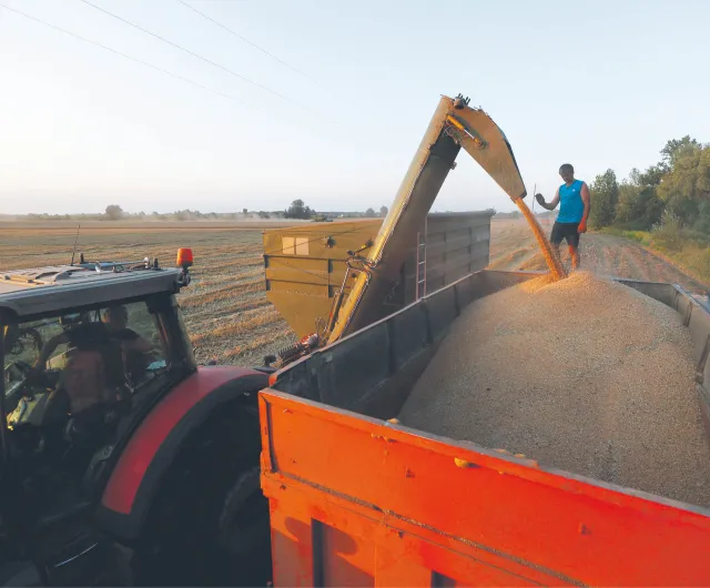 Rząd chce sam przedłużyć embargo na ukraińskie zboże
