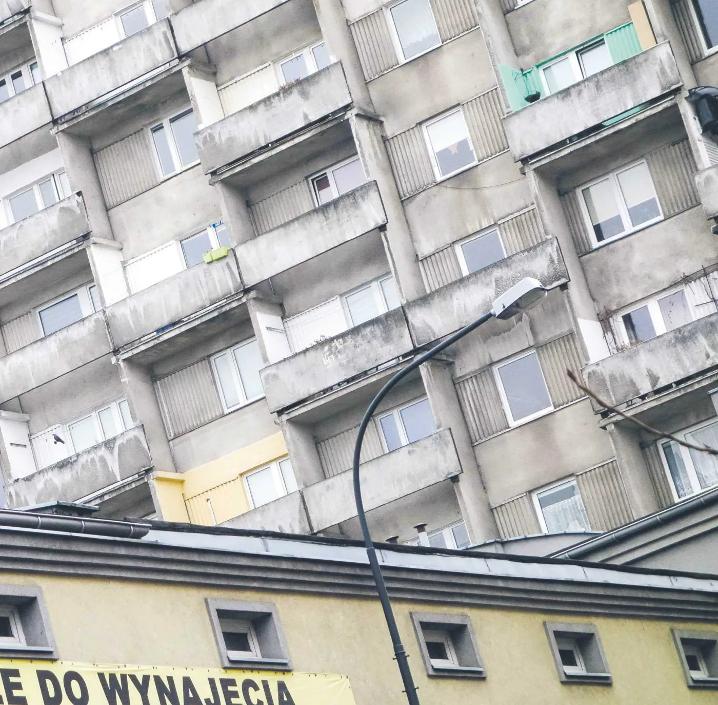 Wojna napędza rynek najmu