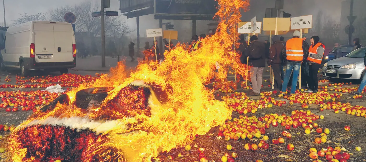 Wszystkie plagi warszawskie