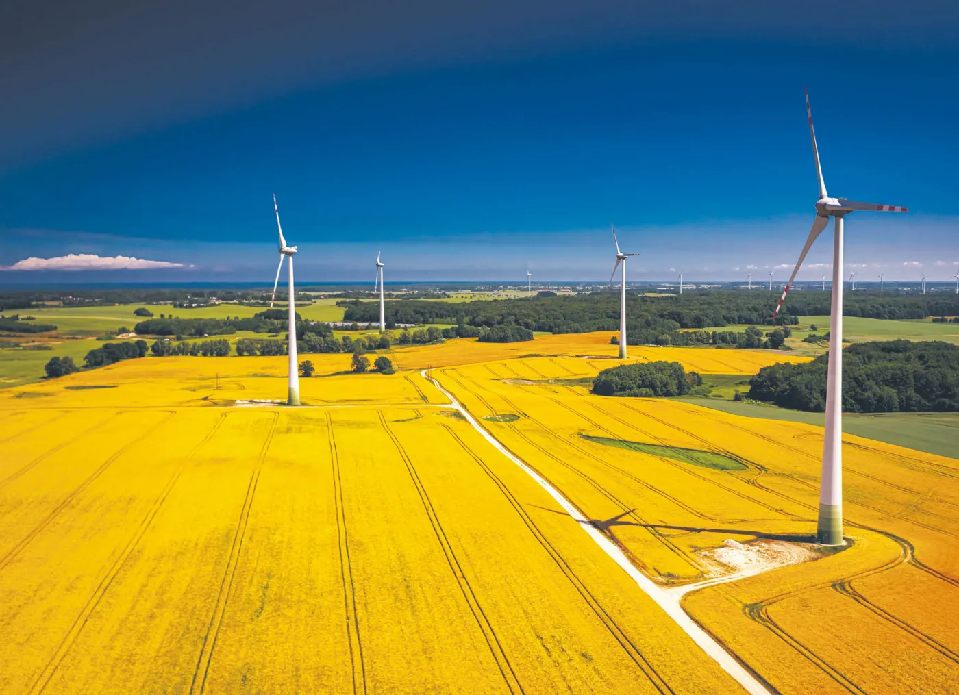 Dać zielone światło zielonej energii