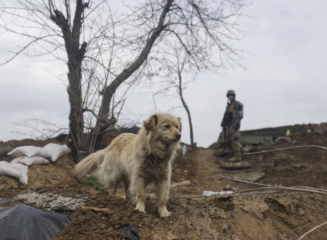 Rozpoczęła się bitwa o Donbas. Czy rozstrzygnie losy wojny?