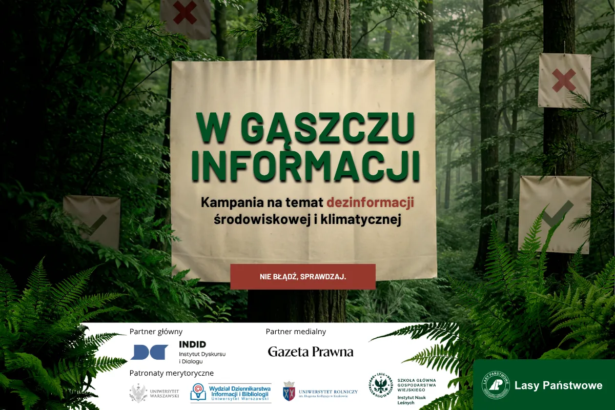 PBS dla lasów państwowych: 21% polaków sądzi, że drewno można pozyskać nie wycinając drzew
