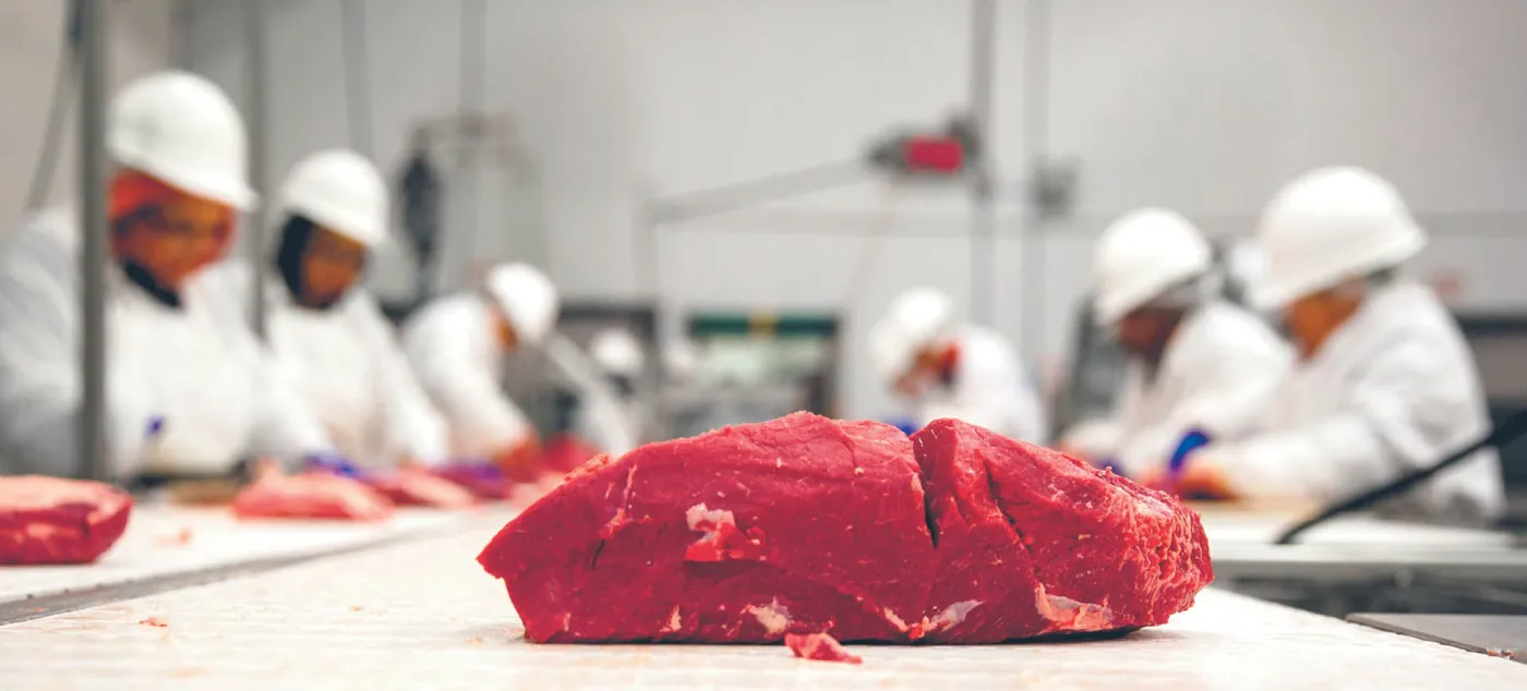 Firma ma kłopoty, giełda na tym traci