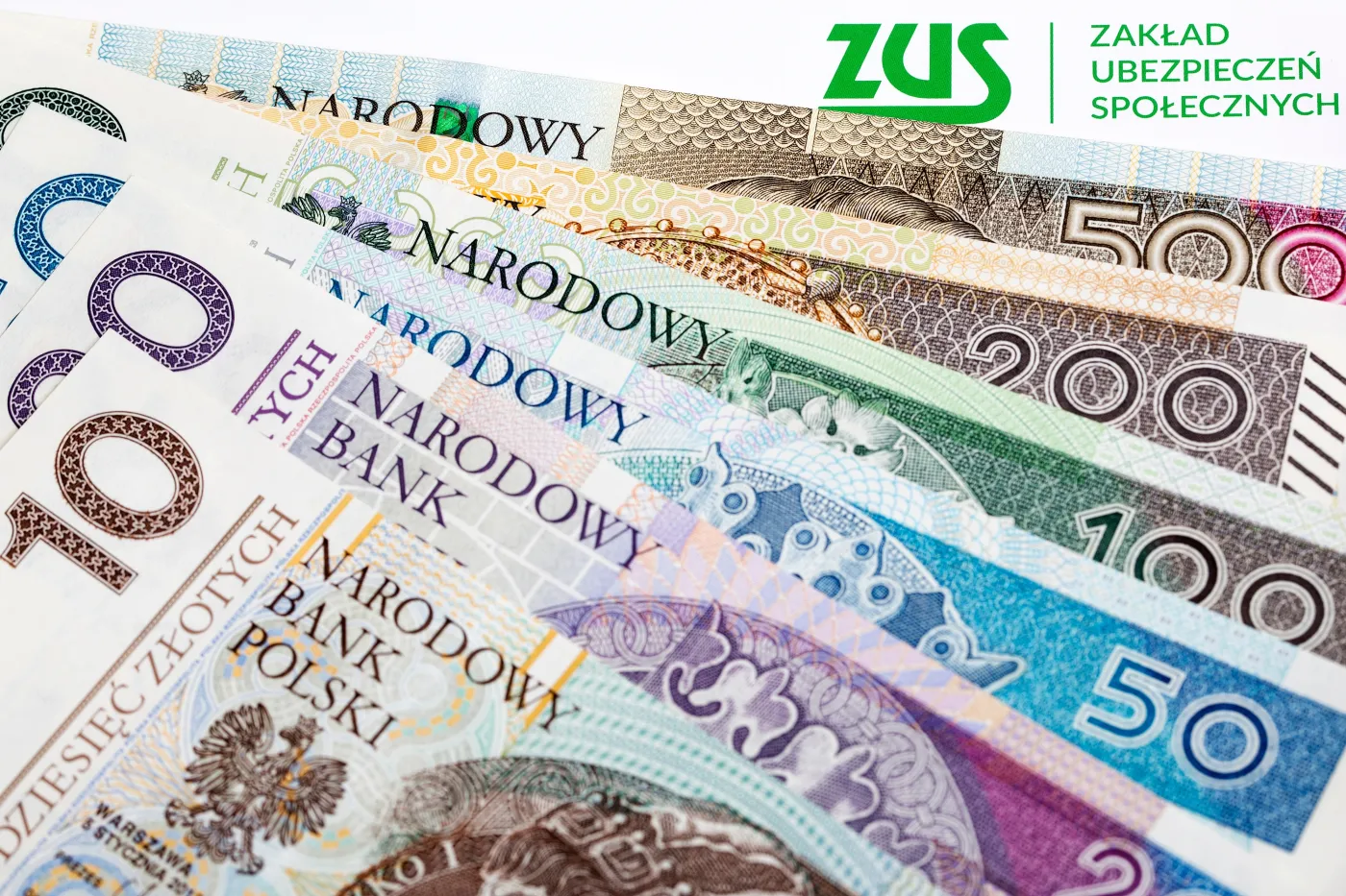 Pobierasz rentę rodzinną i inne świadczenia? Będziesz musiał dokonać wyboru [ZMIANY 2025]