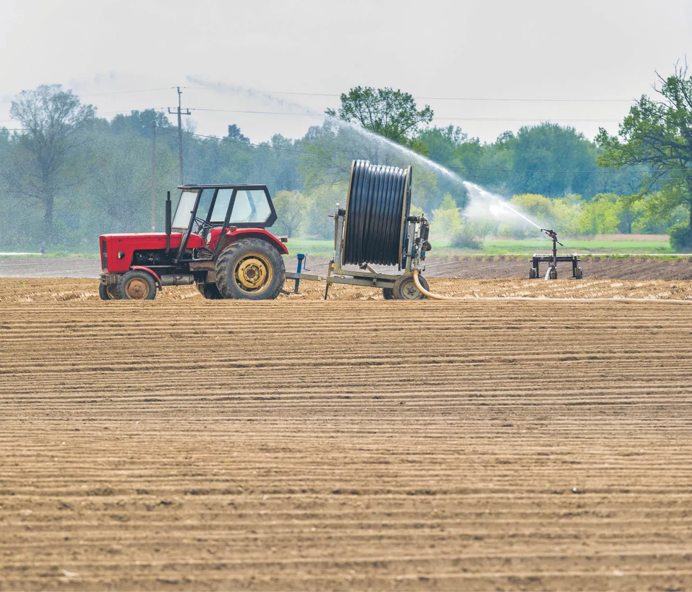 Koronawirusem w wysuszoną ziemię