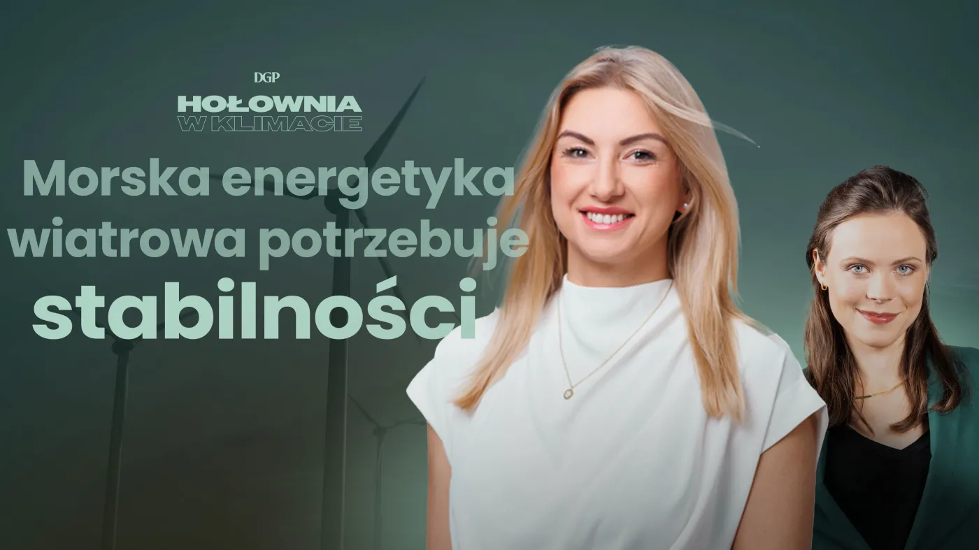 Dominika Taranko, dyrektorka zarządzająca Wind Industry Hub, w programie "Hołownia w klimacie"