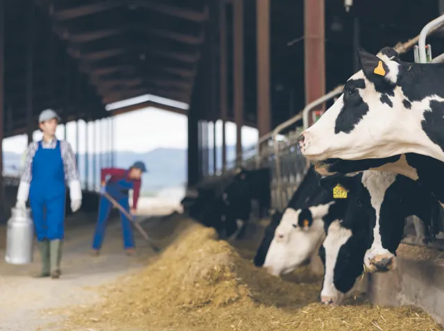 W ciągu 20 lat w UE produkcja rolna wzrosła trzykrotnie