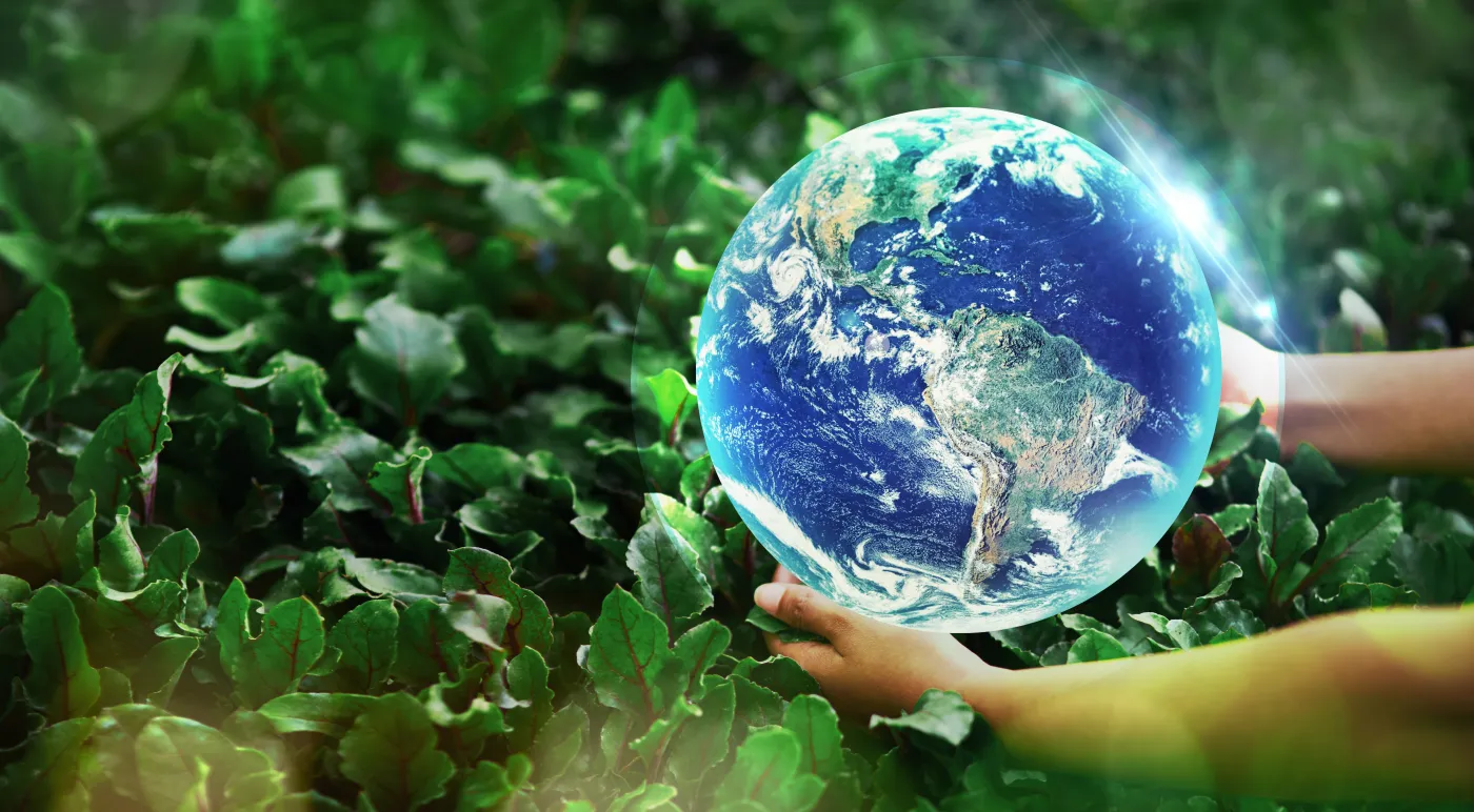 Trwa nabór wniosków w konkursie Eco-Miasto 2024. Jakie nagrody można zdobyć?