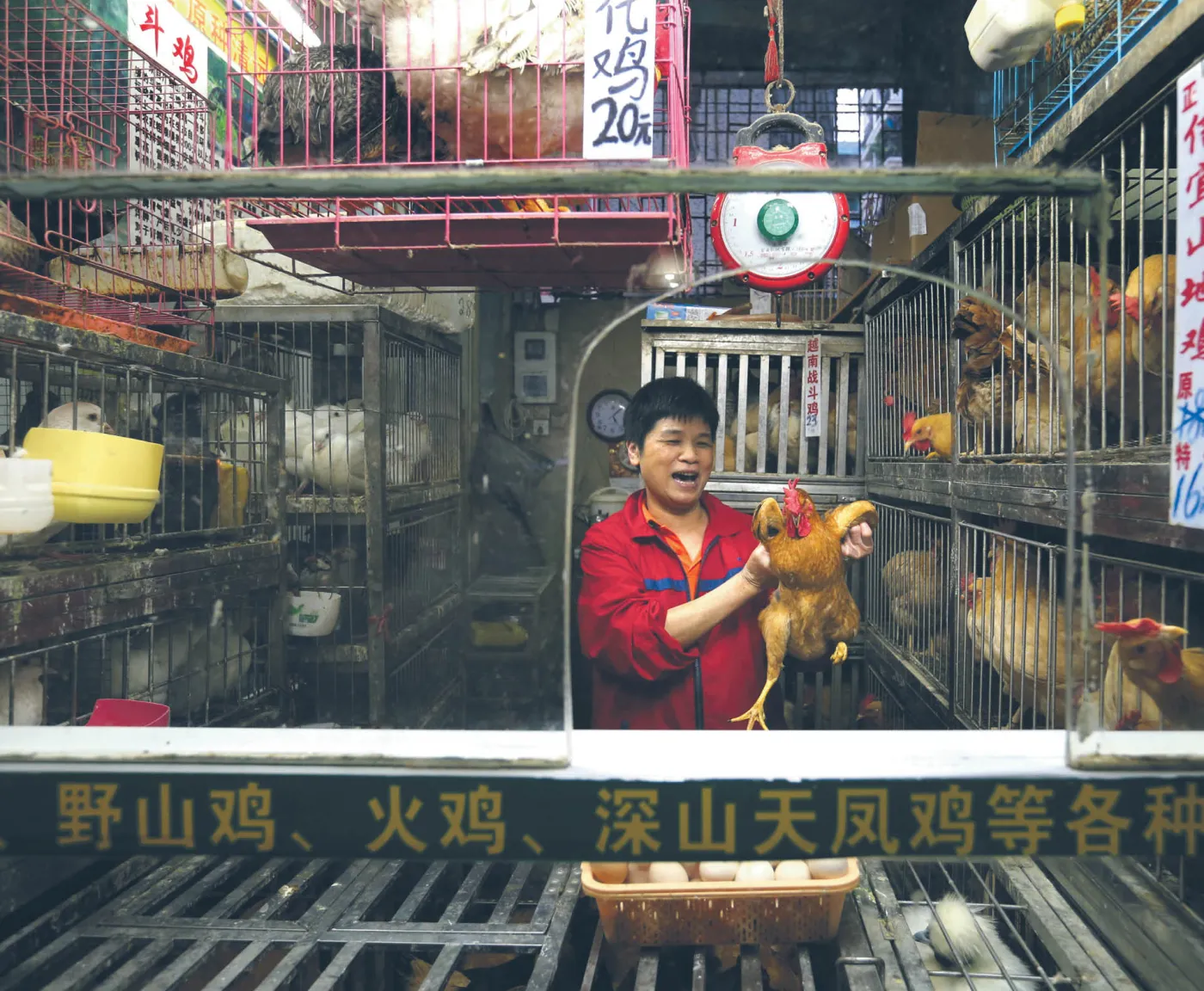 Wszystko się zaczęło od jedzenia dziczyzny