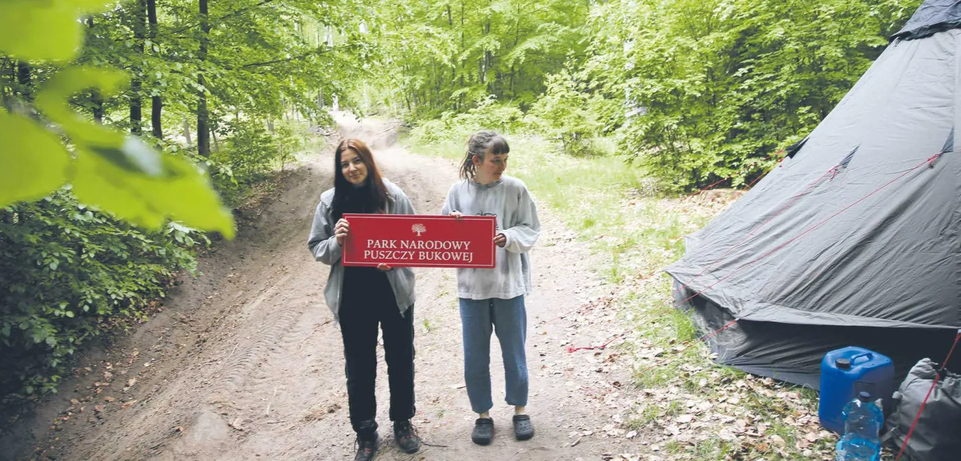 Rząd już wie, jak chce zmienić gospodarkę leśną
