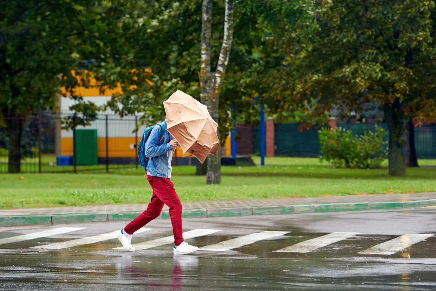 Mocno zawieje już w czwartek 11 grudnia