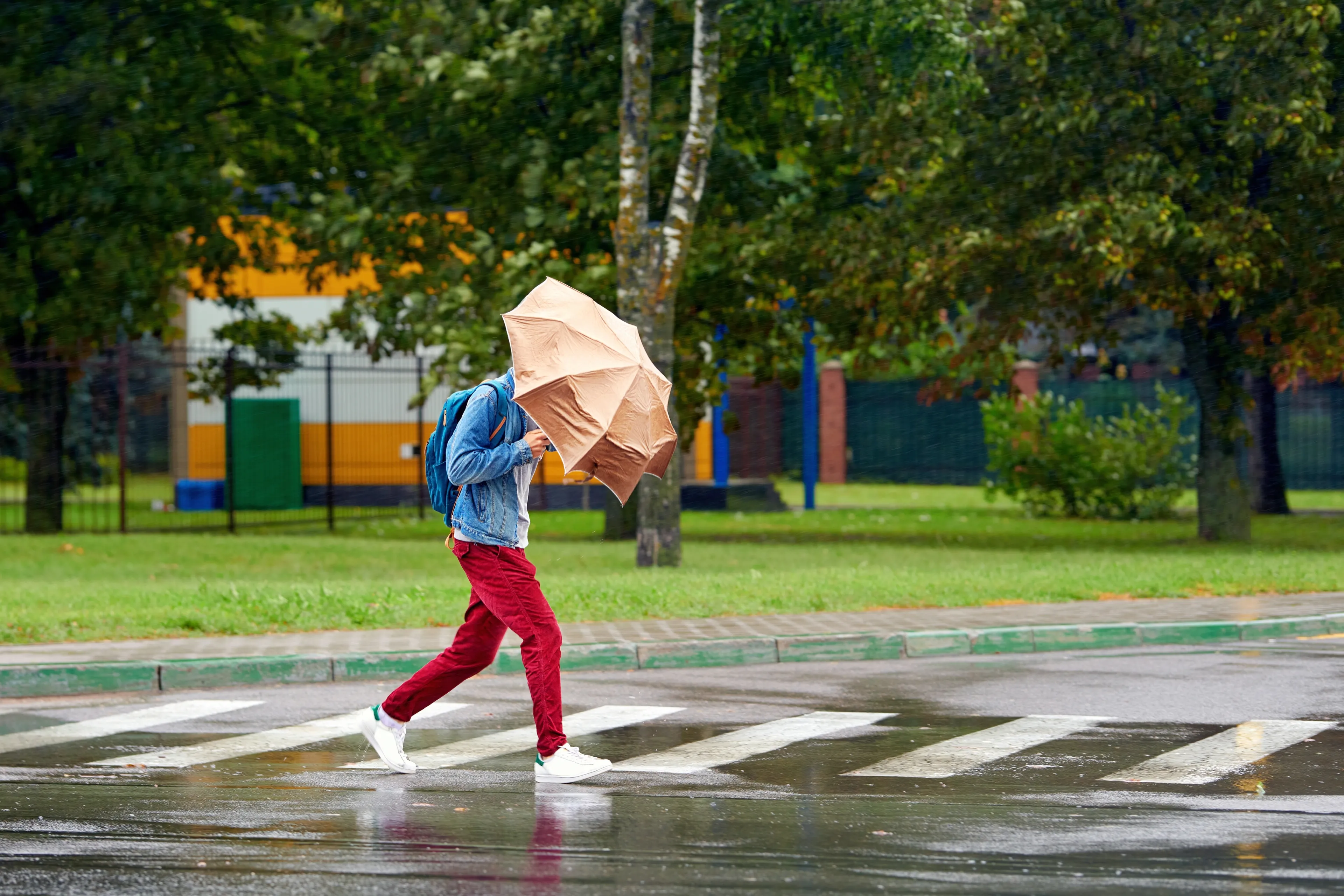 Szerokie ostrzeżenia IMGW i RCB. Dotyczą dużej części kraju